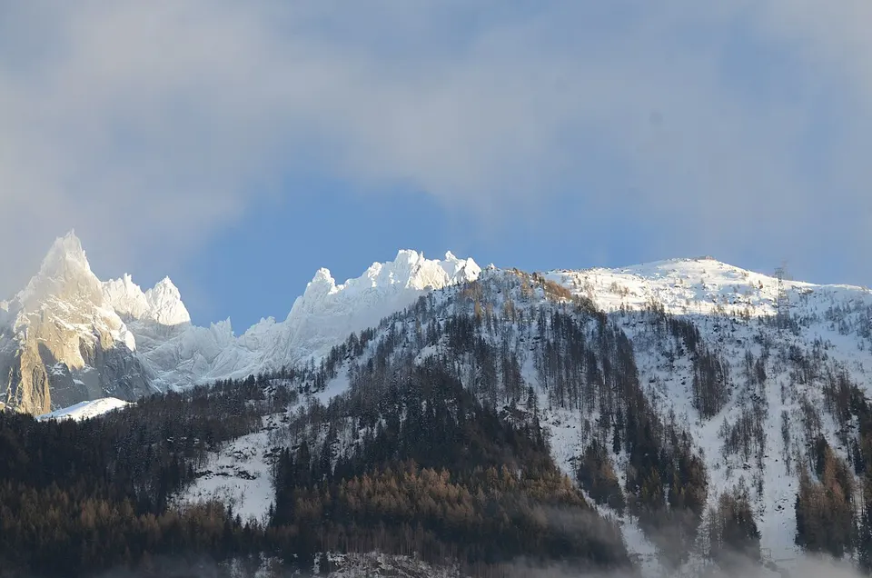 Cumbres y bosque cubiertos de nieve en Chamonix.